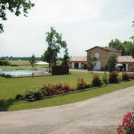 Gite La Tourasse Les Tournesols Lamasquere Luaran gambar